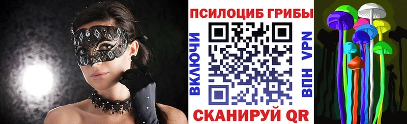 Псилоцибиновые грибы GOLDEN TEACHER  Хасавюрт 