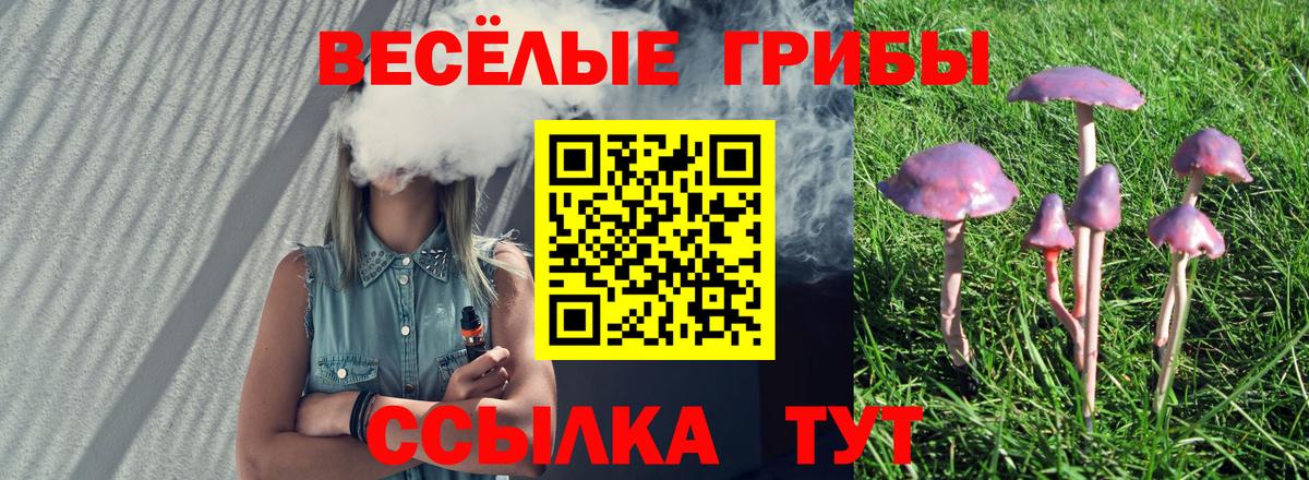 Псилоцибиновые грибы Magic Shrooms  Вход с VPN  Хасавюрт 