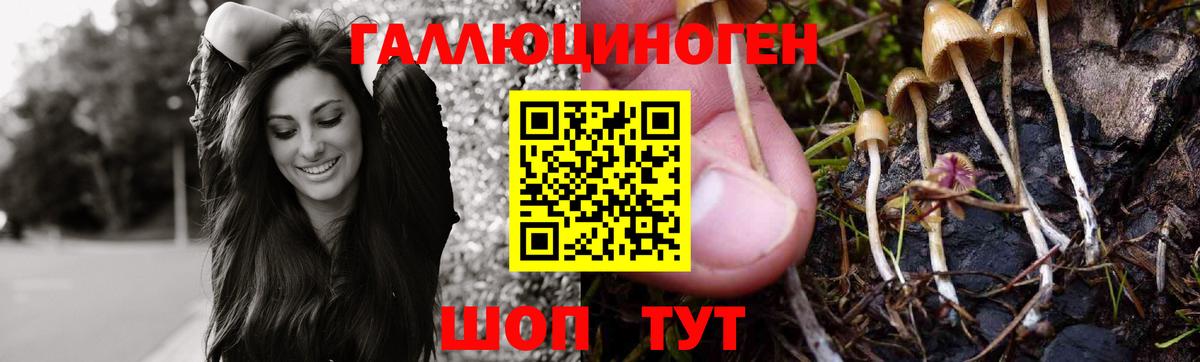 Марихуана  Cocaine  Вейп ТГК  Хасавюрт  НБОМе  ГАШ  ГАШ  Вход с VPN  Alpha PVP СК   Меф кристаллы  Где продают наркотики? 