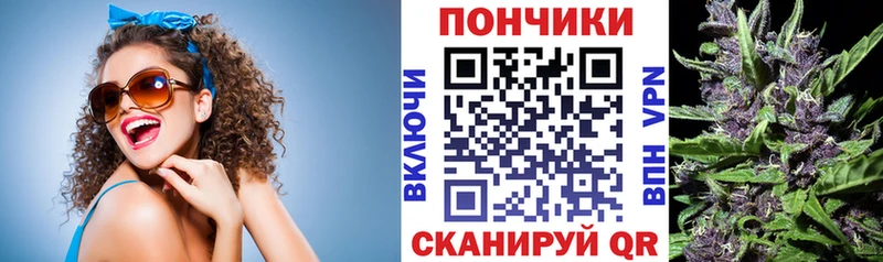 Бошки марихуана VHQ  Хасавюрт 